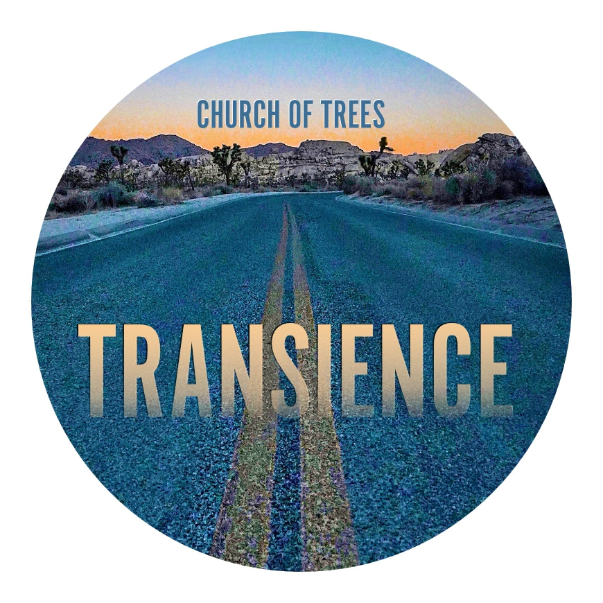 Transience - Magnets & pin back buttons