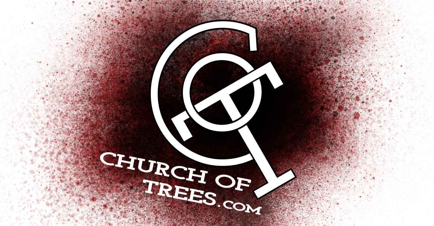 Church of Trees A Canadian Synth Pop Band CHURCH OF TREES